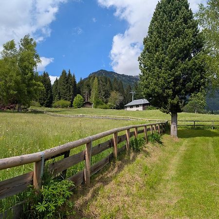 Nido Del Brenta Apartment Madonna di Campiglio Ngoại thất bức ảnh